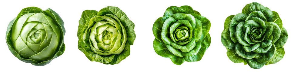 Obraz premium Set of a lettuce leaf, isolated on a transparent background.