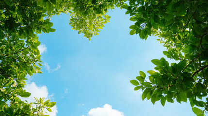 Fototapeta premium Lush green leaves frame bright blue sky, creating serene and peaceful atmosphere. vibrant foliage contrasts beautifully with clouds, inviting sense of tranquility and connection to nature