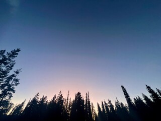 Sunset Through the Trees