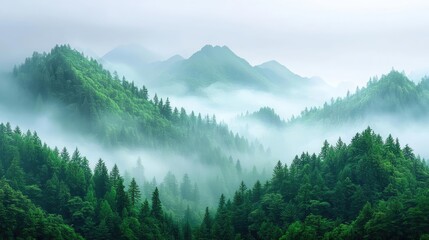 Misty mountain landscape, green forest, serene view, travel postcard