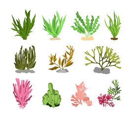 Set of underwater sea plants