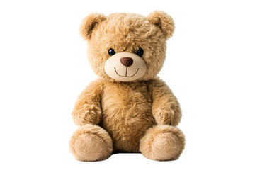 Teddy bear isolated on white background.