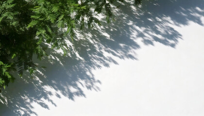 Obraz premium Abstract Patterns of Tree Leaf Shadows and Natural Light on a White Wall