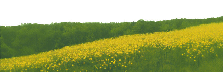 Obraz premium PNG Spring flower hills countryside landscape scenery.