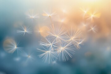 Obraz premium Close-up of dandelion seeds floating against a vibrant blurred background. Soft glowing lights enhance the serene and ethereal concept. Ai generative