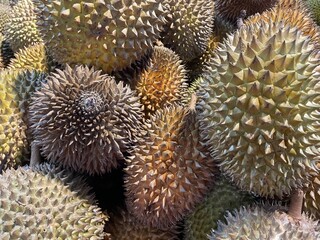 Durian fruit or durio for sale to customers in the basket. Durian market in Indonesia. Selective focus Lai durian Durio kutejensis is ripe, ready to eat.