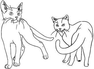 illustration of two cats 