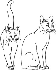 illustration of two cats