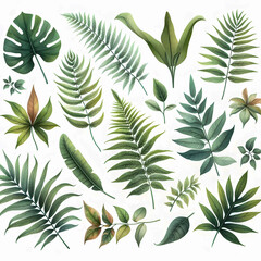 Lush tropical watercolor leaf collection, perfect for digital or print projects.