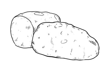 potato digital illustration drawing isolated