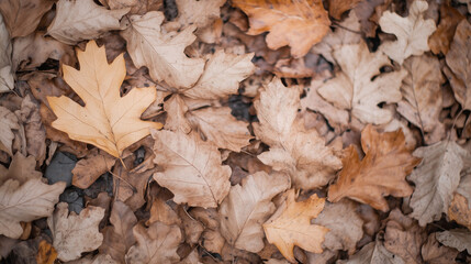 Autumnal Tapestry: A captivating close-up of fallen autumn leaves, their hues of brown, gold, and ochre creating a mesmerizing natural tapestry, capturing the essence of the season's transformation.