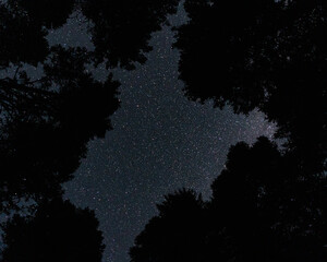 night sky dotted with countless stars and the cosmic light of the Milky Way