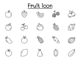 Fruit icon set in thin line style