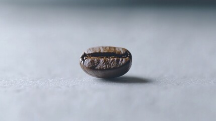 A close-up of a single coffee bean on a white background, finely detailed.