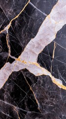 Elegant Black and White Marble Texture with Gold Veins  Luxury Background