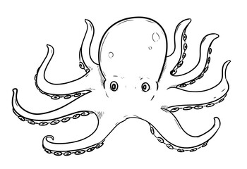 octopus digital illustration drawing isolated