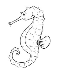 sea horse drawing digital illustration isolated