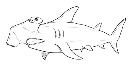 Obraz premium hammerhead shark drawing digital illustration isolated