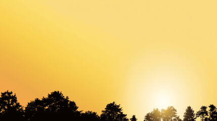 Silhouette of trees against vibrant yellow sunset sky