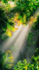 Obraz premium Sunlight filters through a dense canopy of vibrant green leaves in a peaceful summer forest, creating beautiful dappled light patterns.