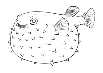 puffer fish drawing digital illustration isolated © mbahran
