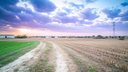 Obraz premium Serene Sunset over Rural Landscape Country Road Farmland and Dramatic Sky