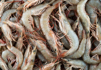 Fresh prawns top view