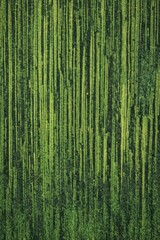 Fototapeta premium Aerial View of Verdant Agricultural Fields