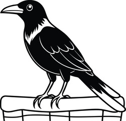 A crow standing on a fence, looking mysterious.