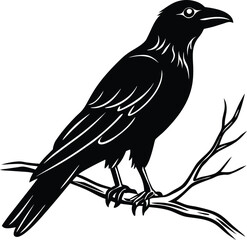 Obraz premium A raven silhouette on a tree branch.