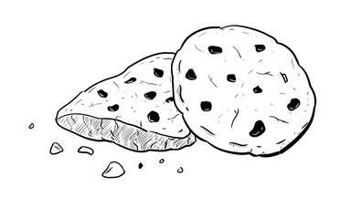 cookies digital drawing illustration isolated