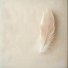 Soft white feather resting on textured beige surface creates a serene and minimalist aesthetic in natural light