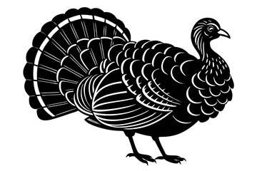 Turkey cock bird animal silhouette