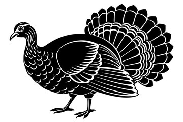 Turkey cock bird animal silhouette