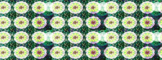 abstract super cute and nice interesting picture