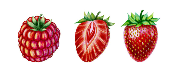 Strawberry and raspberry set of watercolor illustrations. Red berries realistically hand drawn on isolated background. For packaging design and recipes