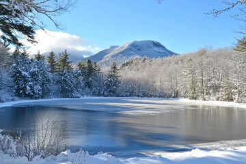 Frozen lake surrounded by snow-covered trees and mountains during winter
