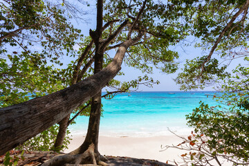 Koh Tachai is an island in the Similan Islands National Park in Lam Kaen Subdistrict, Thai Mueang, Phang Nga Province, An island with white sandy beaches and crystal clear water