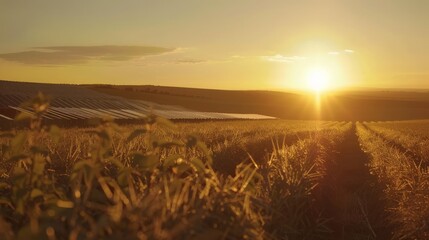 Solar Panels Brightening The Rural Landscape Under Sunny Skies
