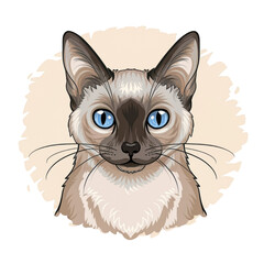 A cute black cat vector illustration, perfect for pet lovers , Cartoon craft