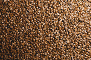 Close-Up View of Dark Roasted Coffee Beans