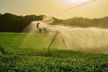 Irrigation system used to water plants on a farm. Sunset, irrigation agriculture. Farming field...