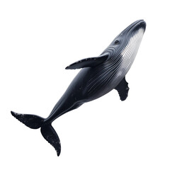 Black and White Whale Illustration in Motion