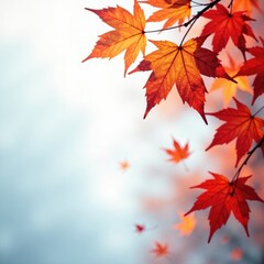 Obraz premium Delicate maple leaves drift against a pale winter sky, white, autumn
