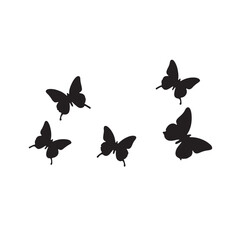 butterflies shilahoutte vector on white background 