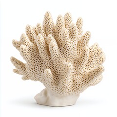 Obraz premium Intricate Cream-Colored Coral Specimen with Detailed Textured Surface Isolated on White Background