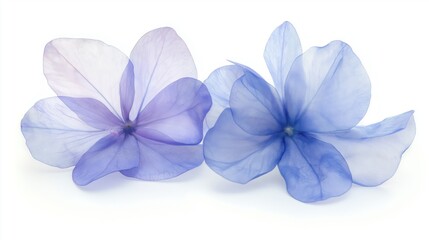 Obraz premium Surreal Blue Flowers in Minimalist Composition, Evoking Tranquility and Natural Elegance