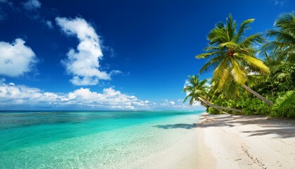 Beautiful tropical beach with palm trees, sunset beach seascape, design template for travel banner.