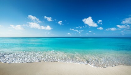 Obraz premium Beautiful tropical beach with palm trees, sunset beach seascape, design template for travel banner.