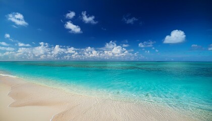 Fototapeta premium Beautiful tropical beach with palm trees, sunset beach seascape, design template for travel banner.